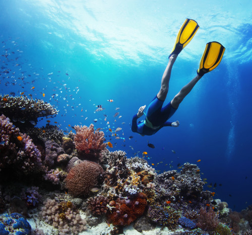Best Snorkel Spots in Puerto Vallarta